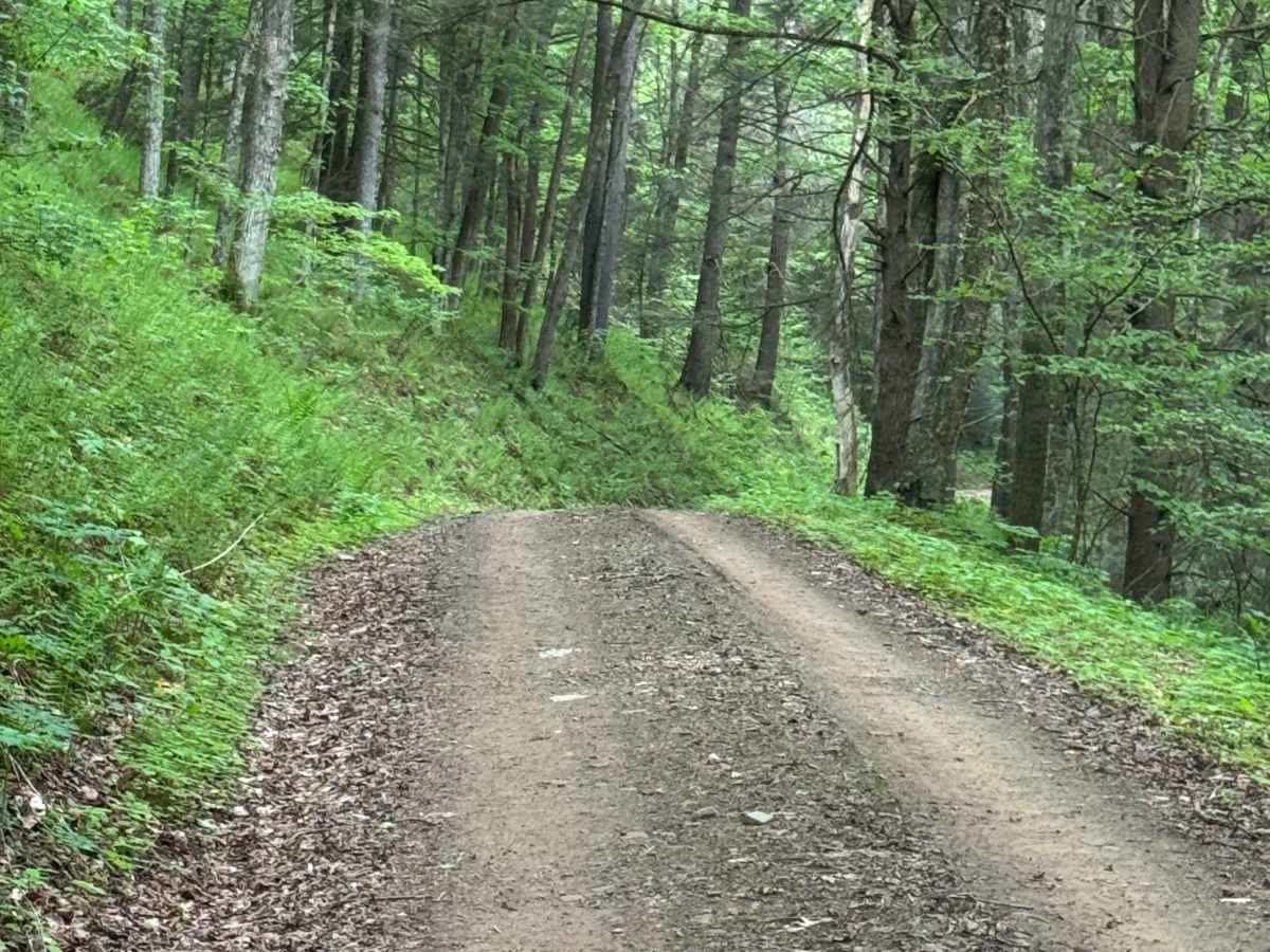 Big Springs Road photo 5