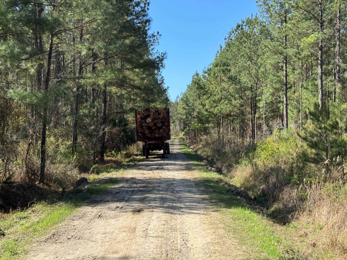 Belle Vista Road photo 4