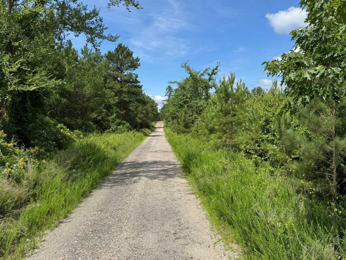 Onyx Trail photo 4