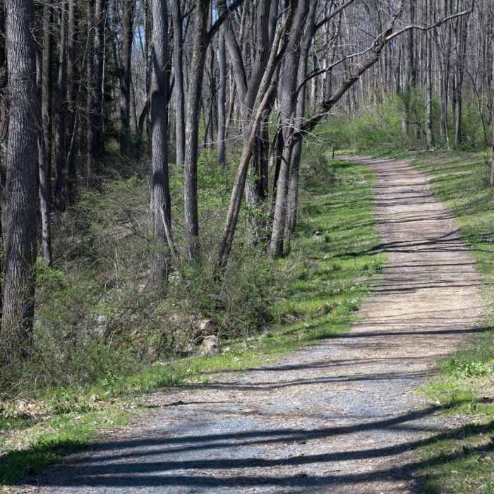 Near Jacobsburg Trail Near Jacobsburg Trail