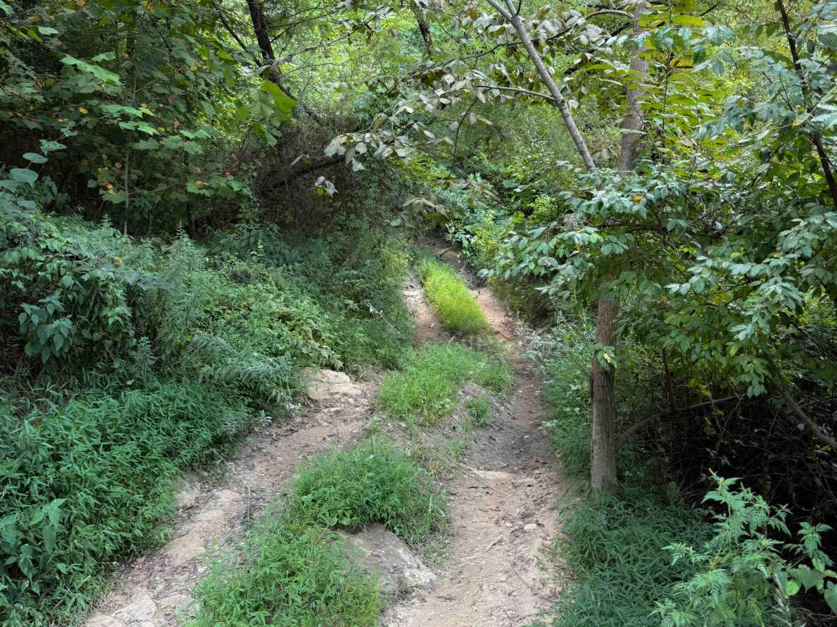 Little Bull Creek Loop 10  photo 5