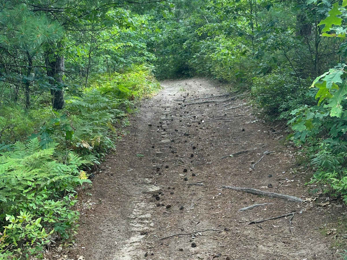 Muskegon Road Cutover  photo 4