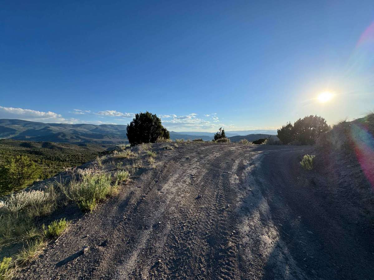 BLM 8410 photo 5