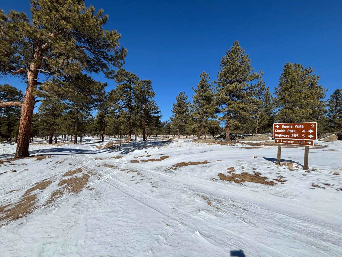 Shields Gulch photo 5