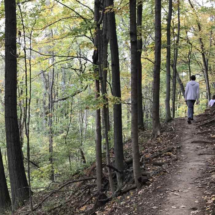 Near Schoen Creek Trail
