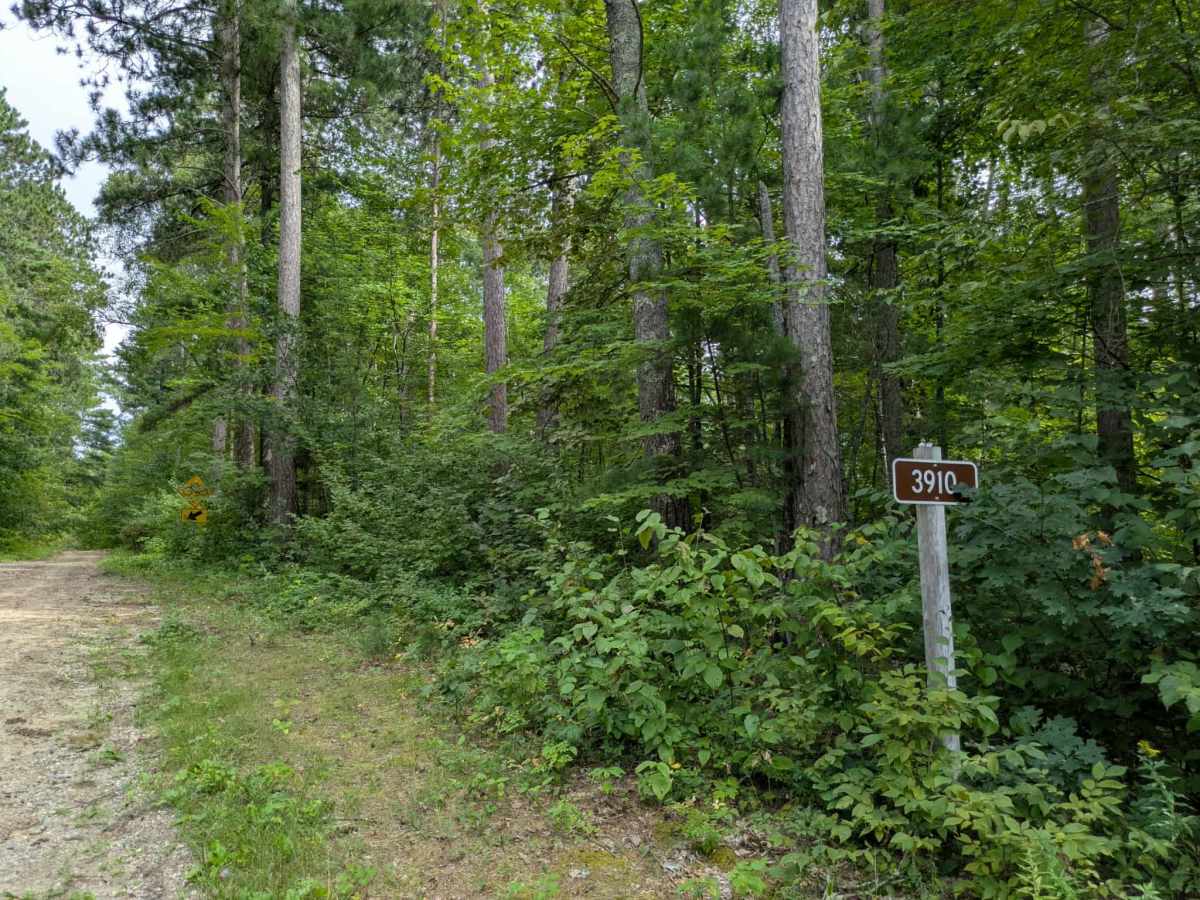 3910 trail photo