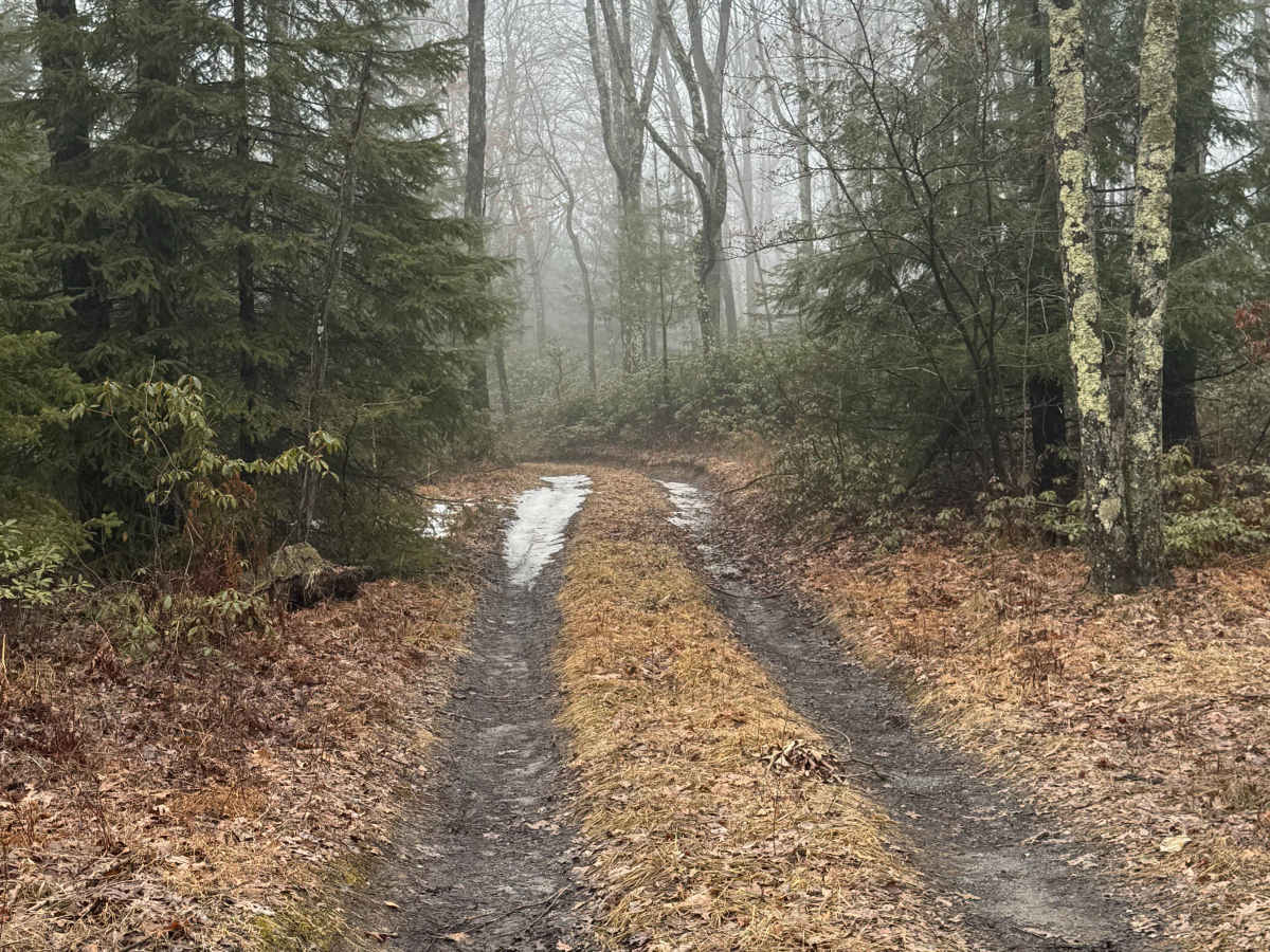 Smoke House Trail photo 4