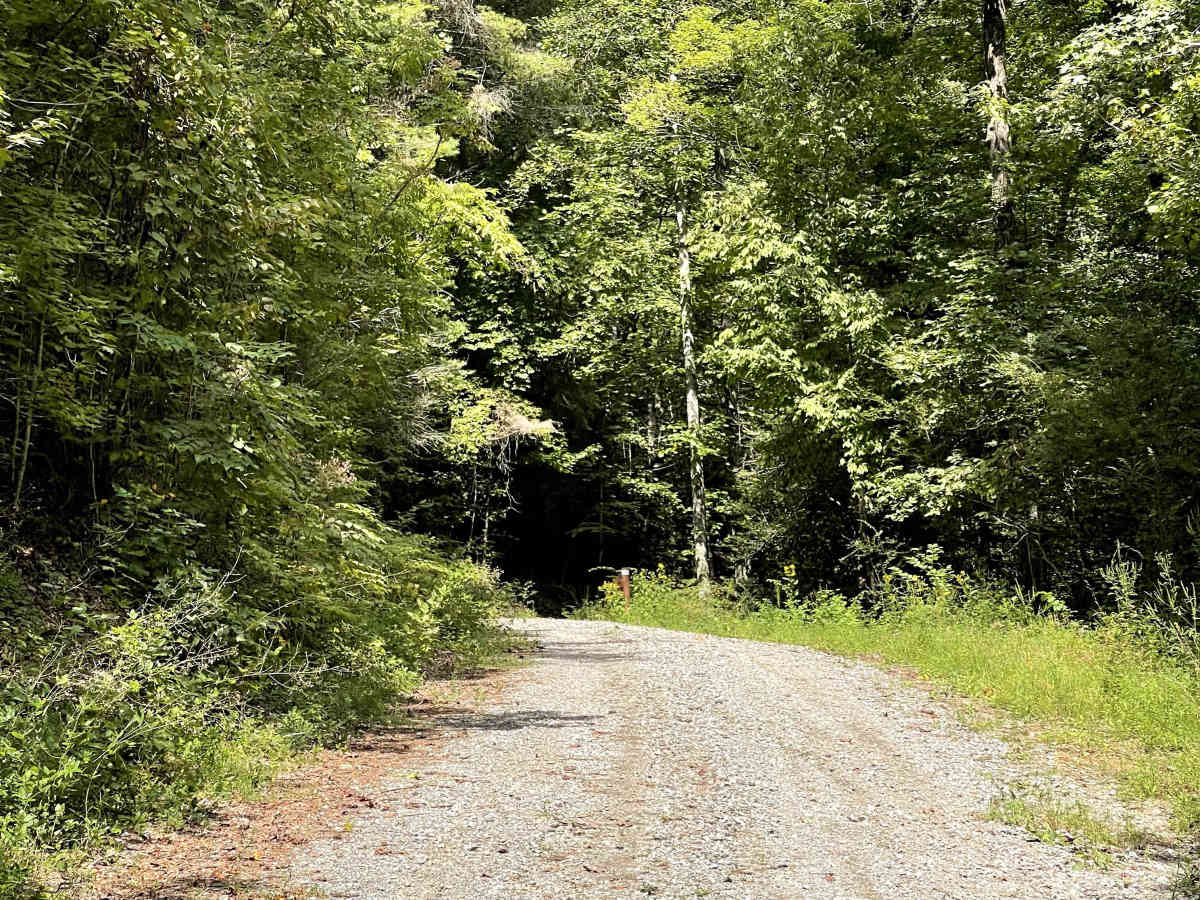 FS 4096 trail photo