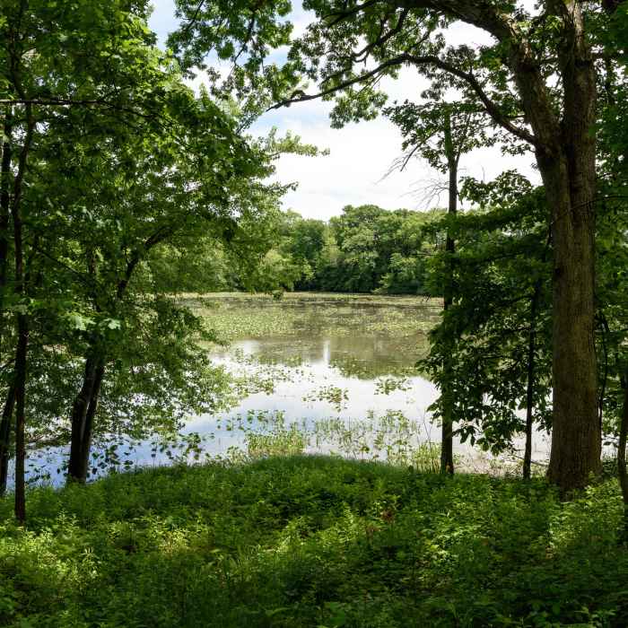 Lake George from the Hobart Woodland Trail. Near Hobart Woodland Trail