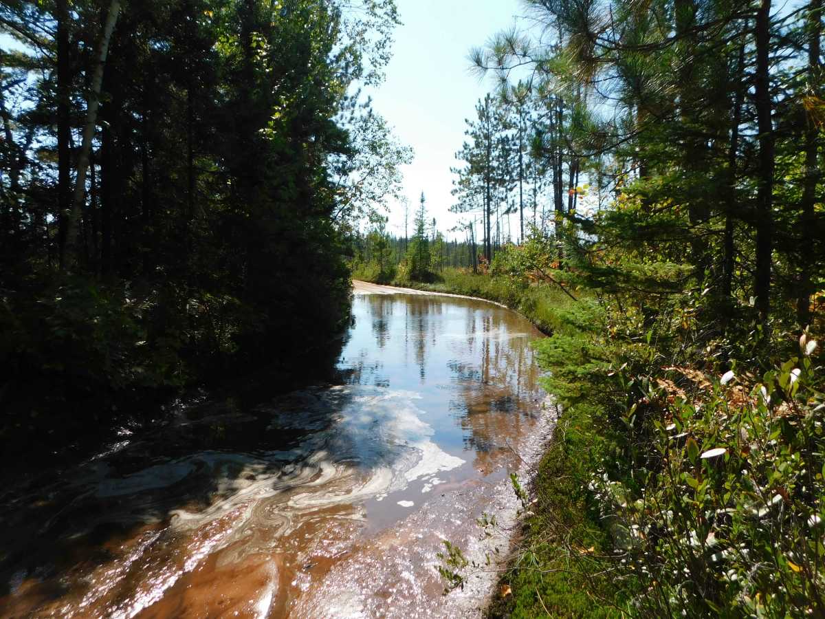 Culhane Grade Trail trail photo