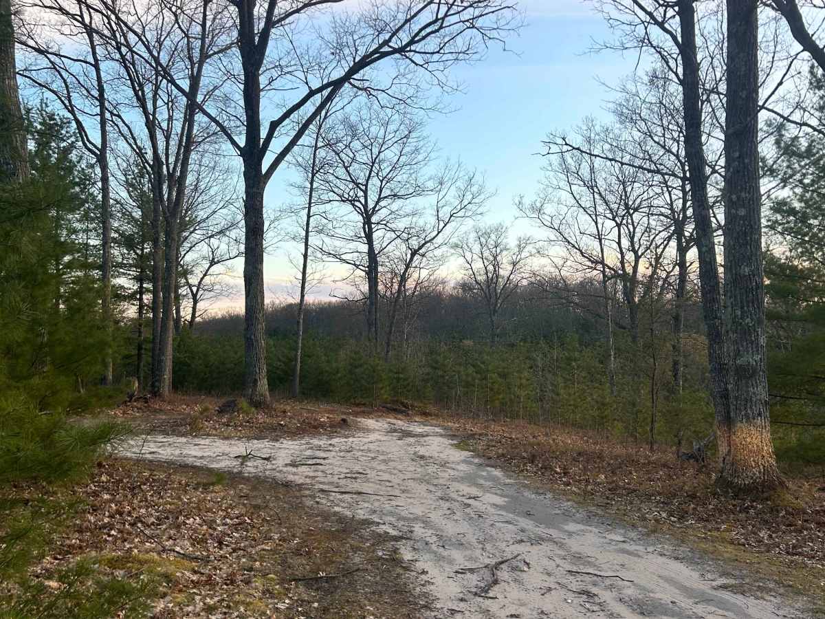Rennie Lake trail photo