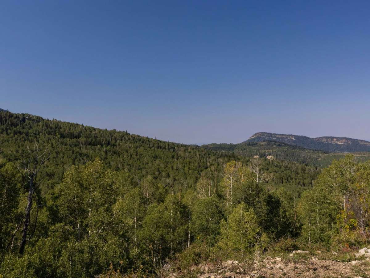 Beaver Creek Road photo 2