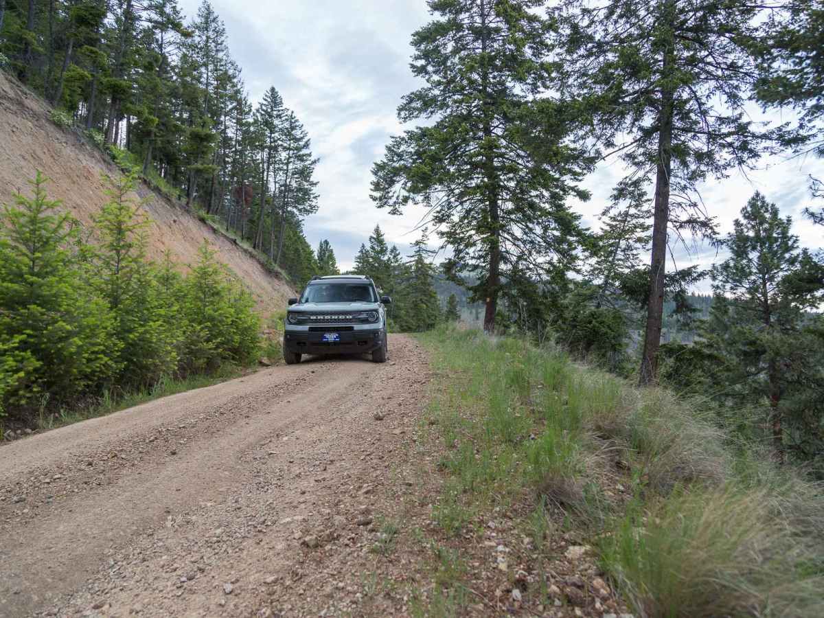 McClain Creek Road (FS 1311) photo 2