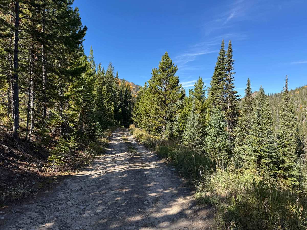 Smith Creek Road photo 2
