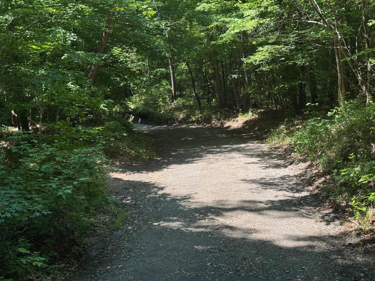 Post Oak Corner - FS 193 trail photo