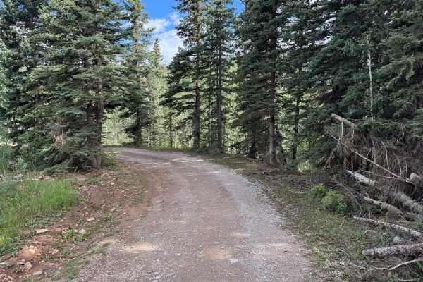 Purgatory Road