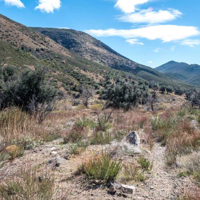 Near Cottonwood Creek Falls