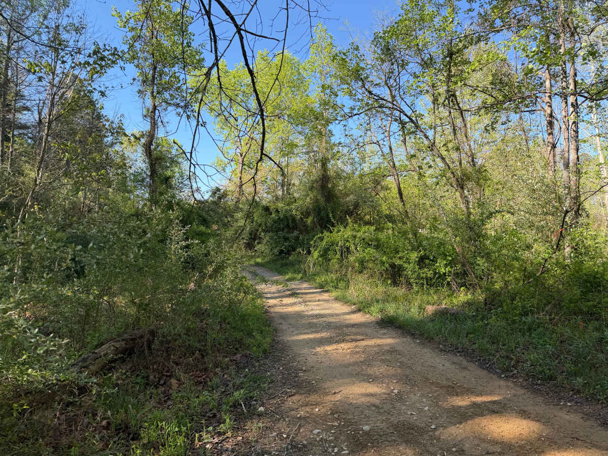 Bear Claw Trail photo 6