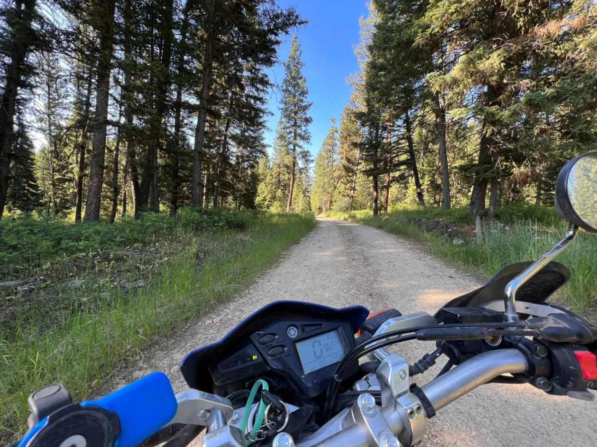 Porcupine Saddle photo 5