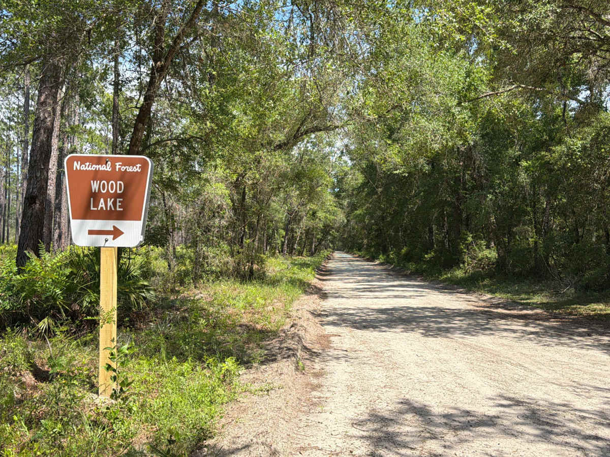 Alligator Swamp - FS 338 photo 4