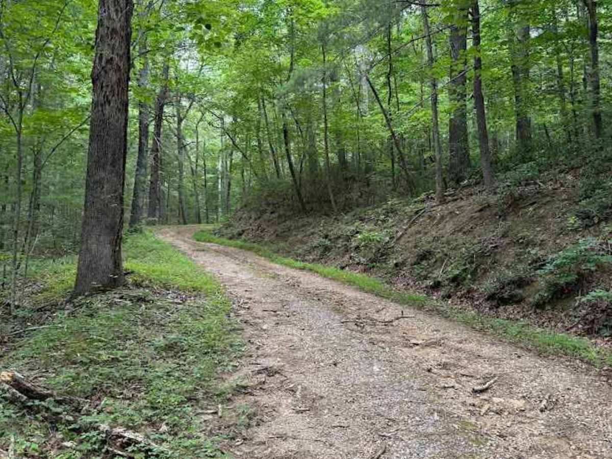 Peters Creek photo 2