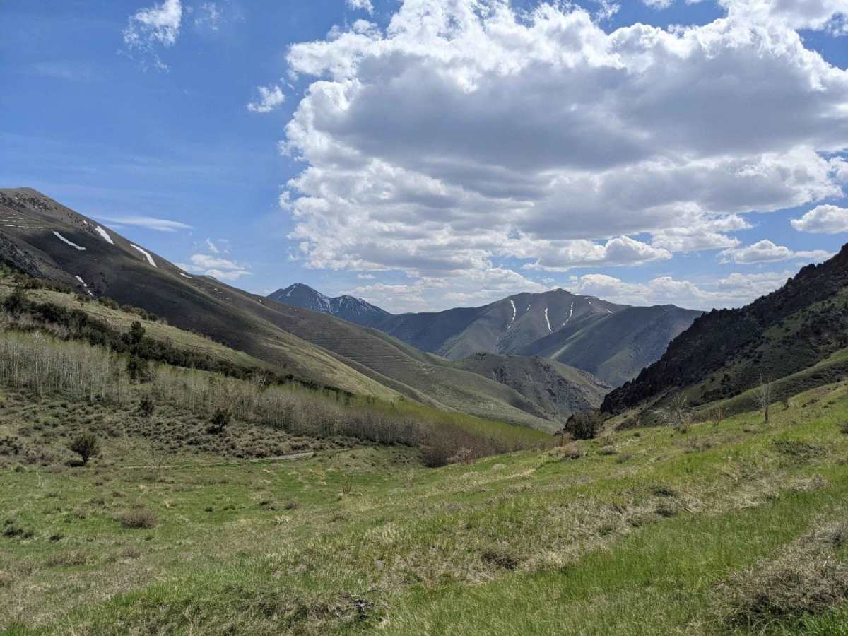 North Fork Big Creek Road - NF43012 trail photo