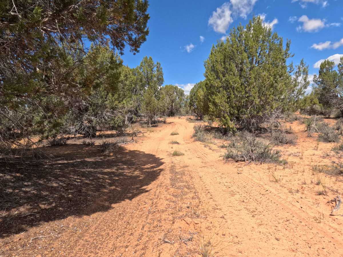 BLM 101B photo 5