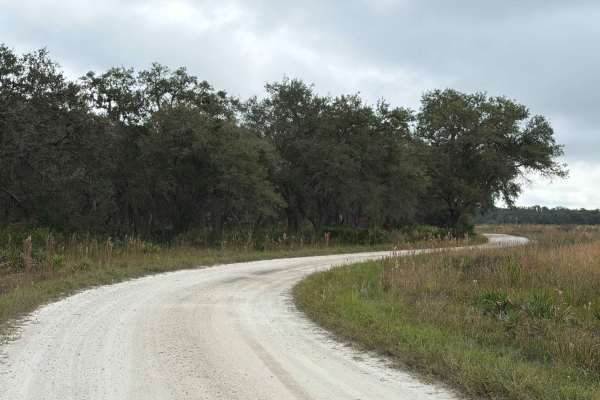 Boat Ramp Road - Three Lakes WMA