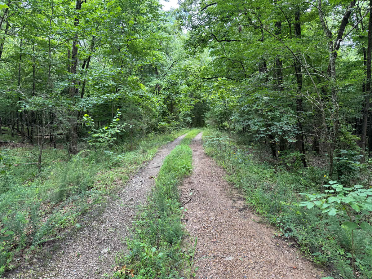 Mauldin Spur photo 5