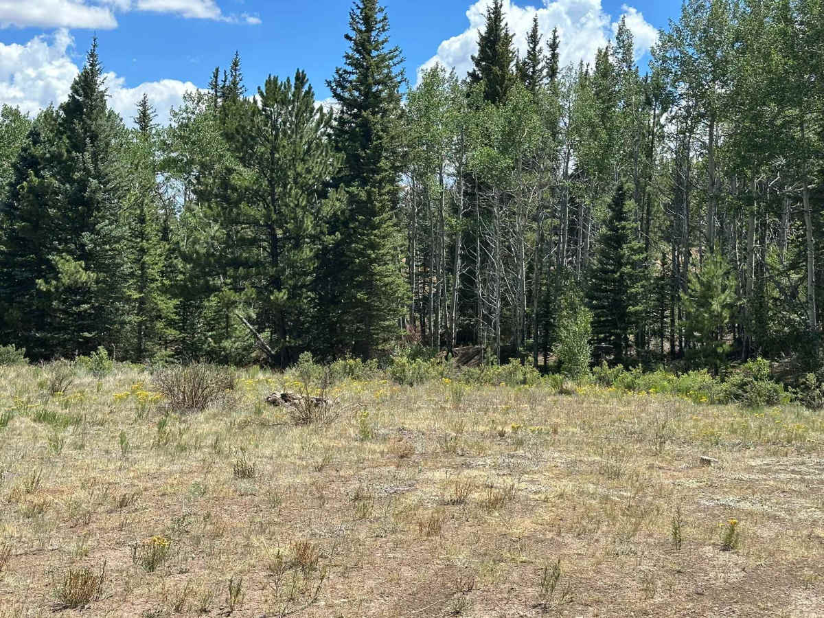 Arrowhead Road photo 5