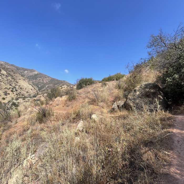 Near Cozy Dell Trail (23W26)