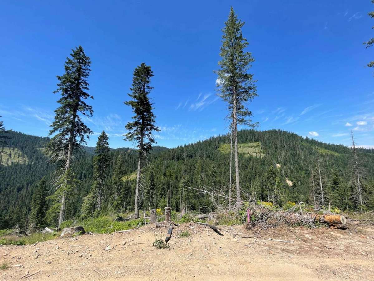 Echo Peak OHV photo 5