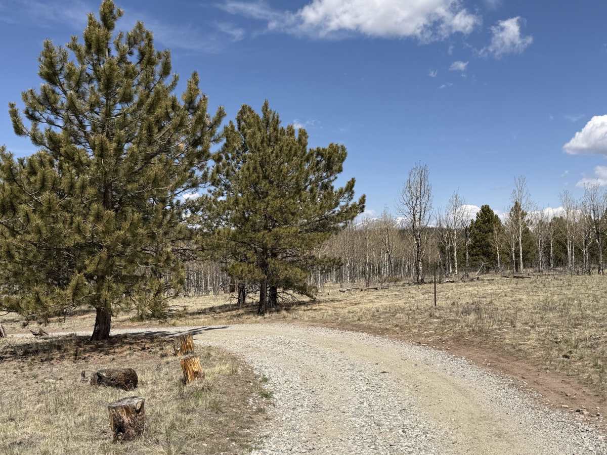 West Columbine Gulch Road photo 4