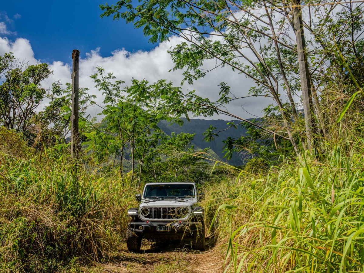 Jurassic Park Gate Trail photo 2