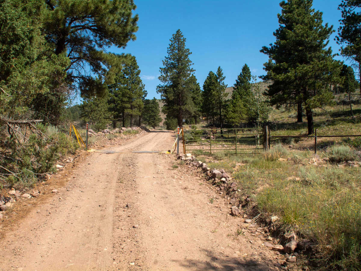 Elkhorn Loop - FS 10117 photo 6