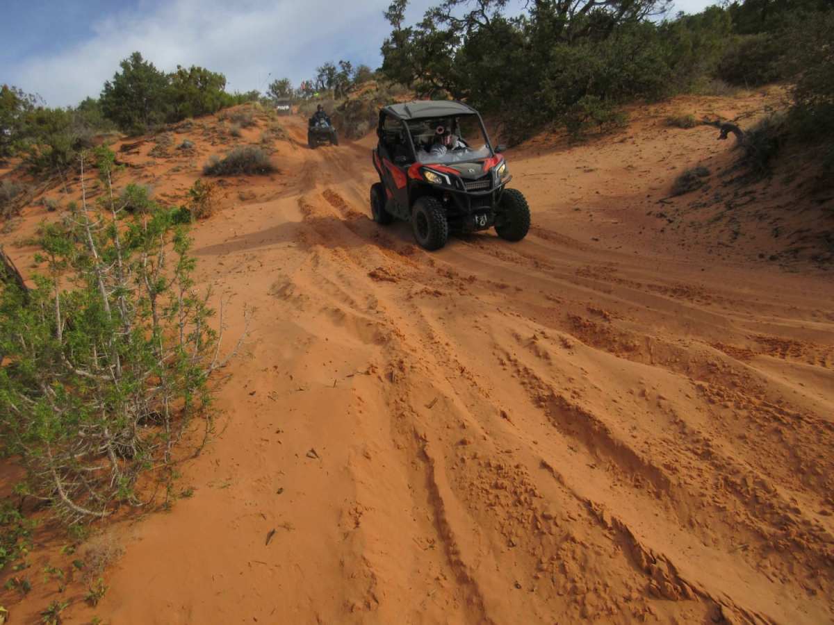 Dinosaur Tracks Loop photo 4