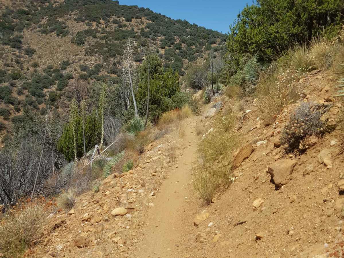 Piru Creek - FS 20W07 photo 3