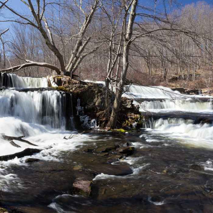 Near Shohola Falls Trail Near Shohola Falls Trail