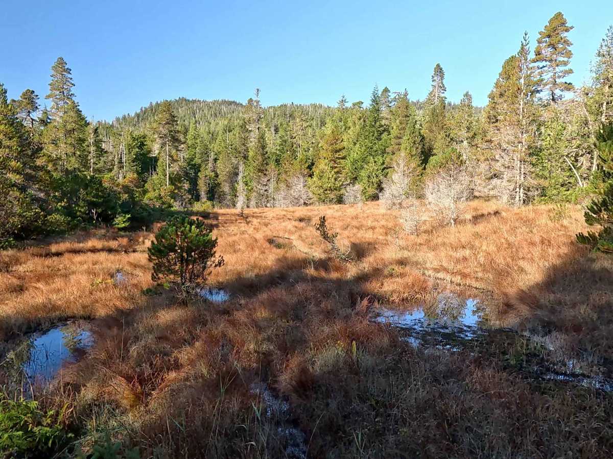 North Thorne River Road - FS 3015000 photo 3