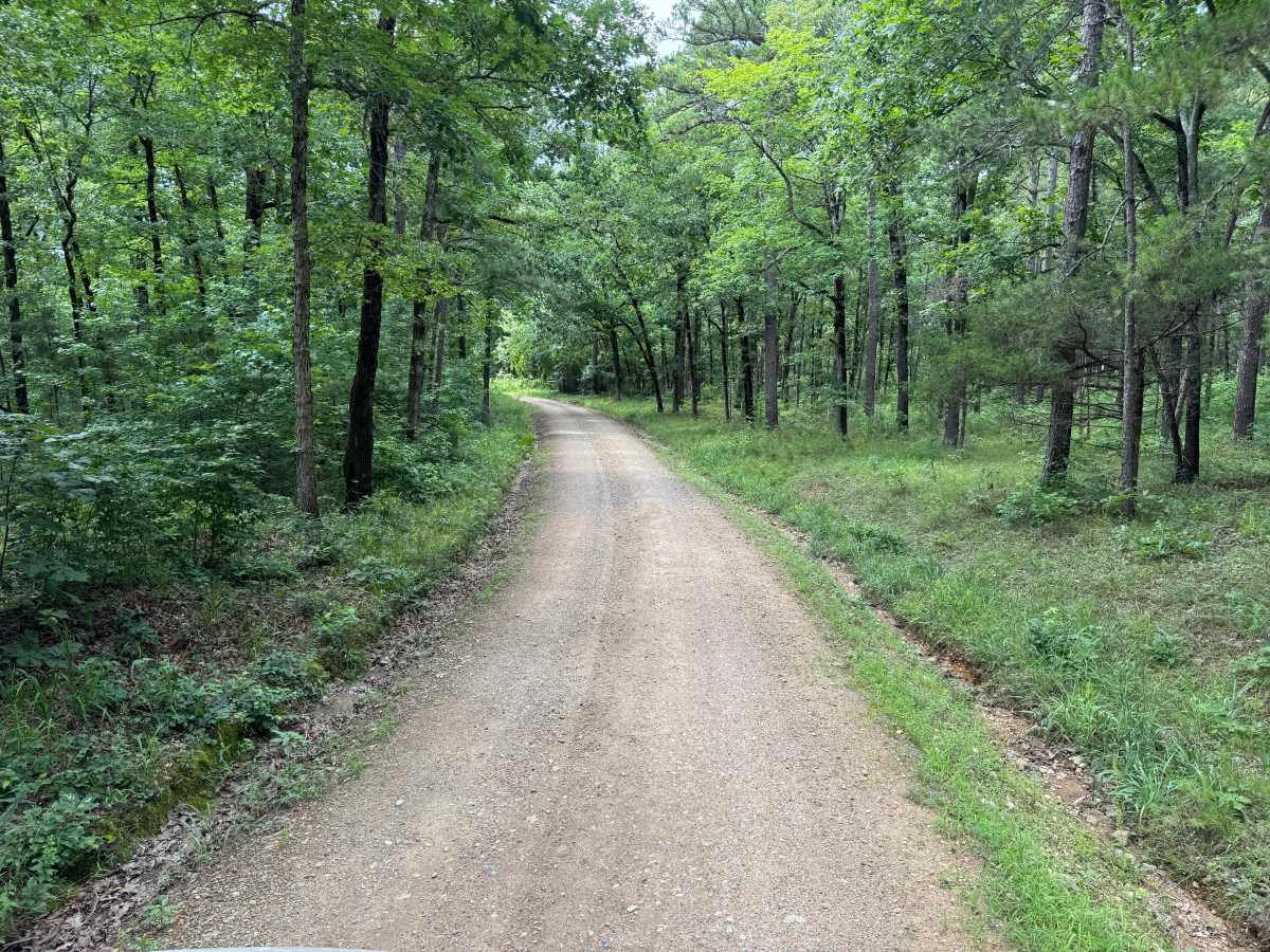 River Bluff Road photo 5