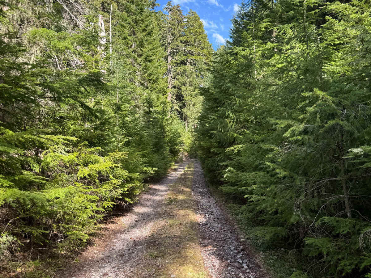 Cort Road- FS 1276 photo 4