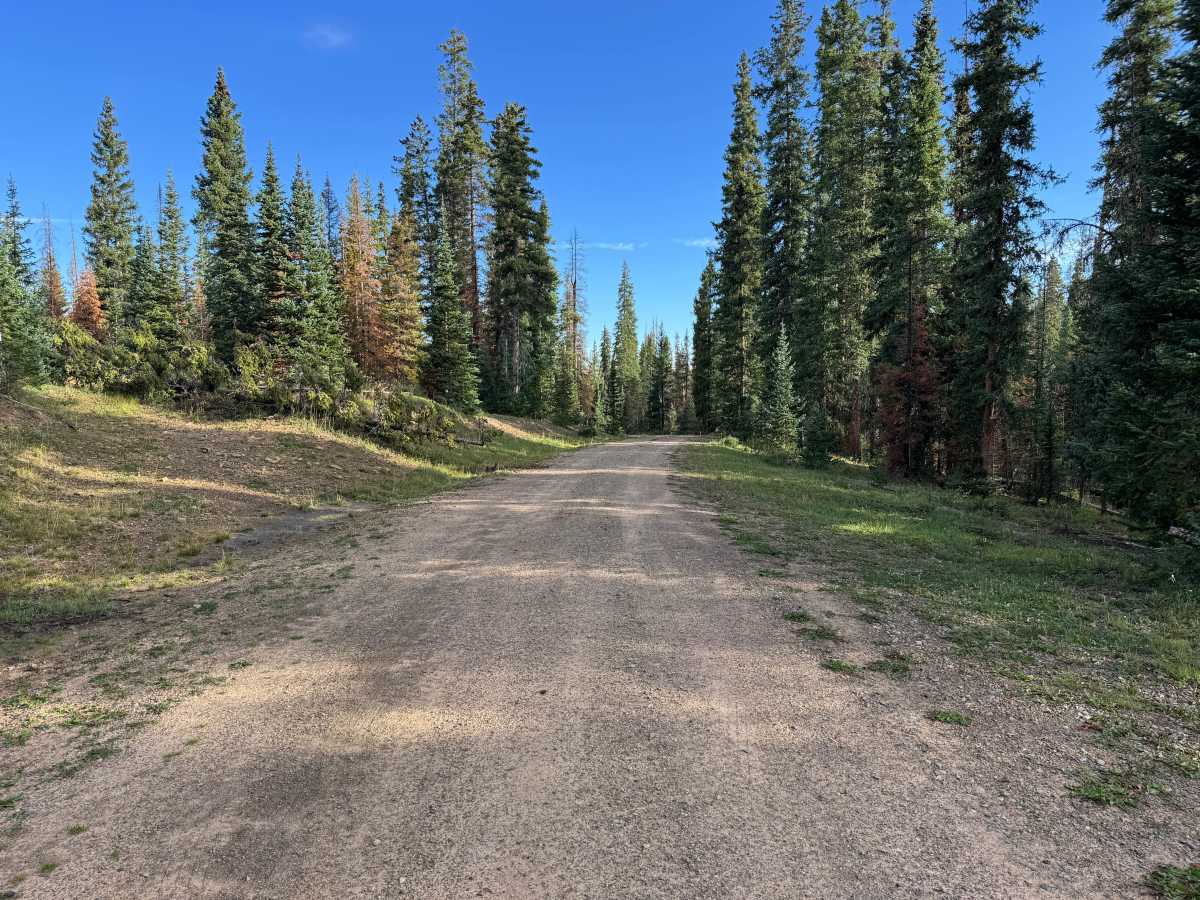 Pothole Road photo 5