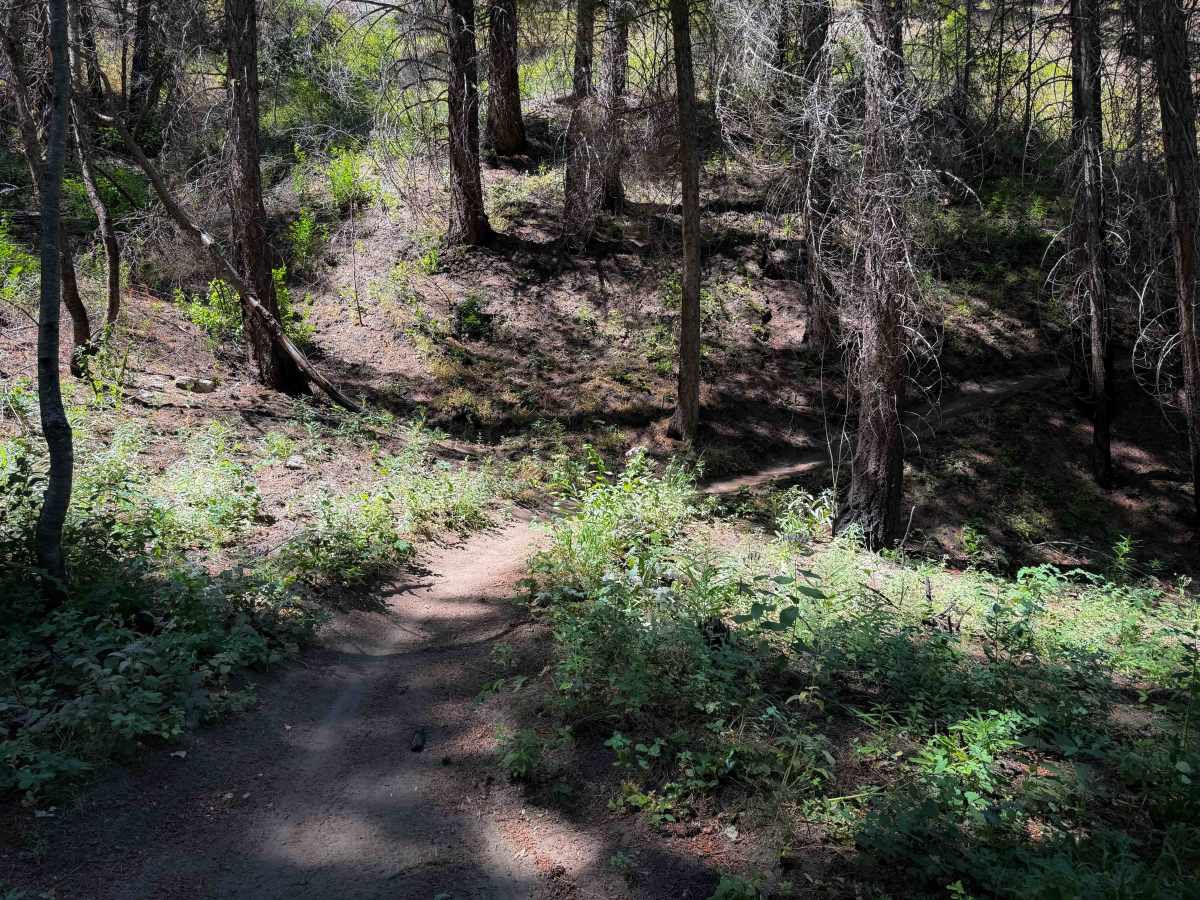 Red Devil Trail #1221 photo 5