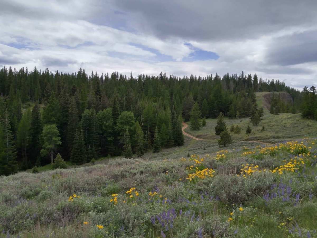 Bethel Ridge Central - NF 325a 4WD photo 2