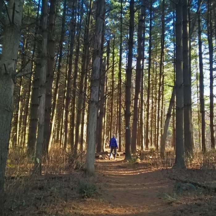 Near Boord State Nature Preserve