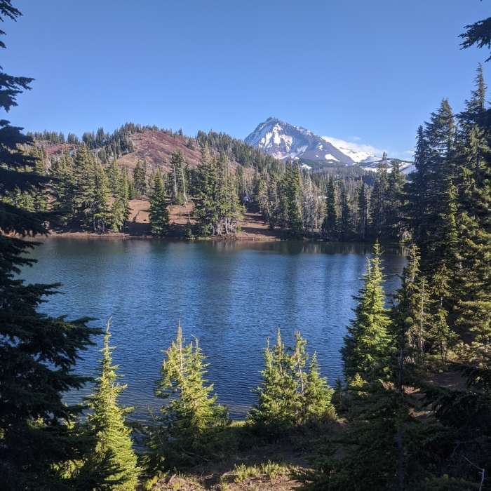 Near North Matthieu Lake Trail #4062