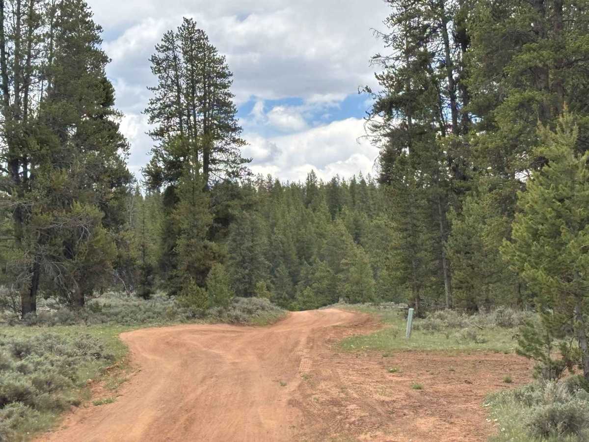 Texas Cotton Wood Road Extension photo 6