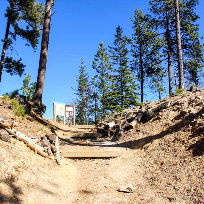 Near Black Elk Peak Near Black Elk Peak
