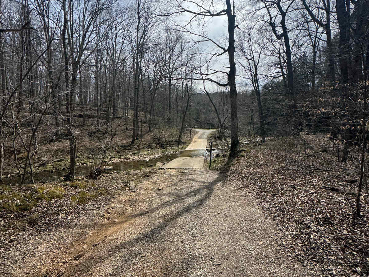 Bell Smith Spring Rope Swing Trail photo 5