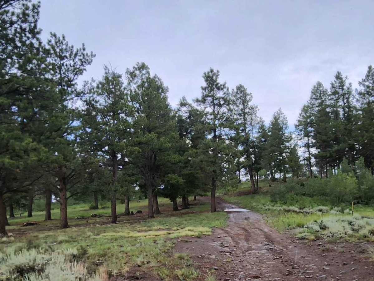 Deep Gulch Road photo 2